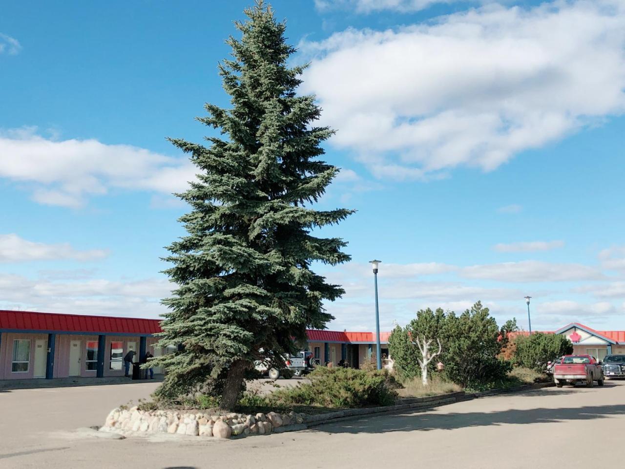 Canadian Motel North Battleford Esterno foto